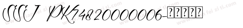 SSJ  PK74820000006字体转换